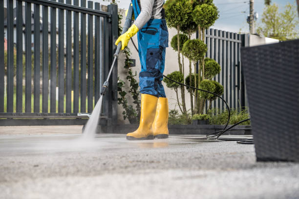 Best Roof Washing  in Six Mile, SC